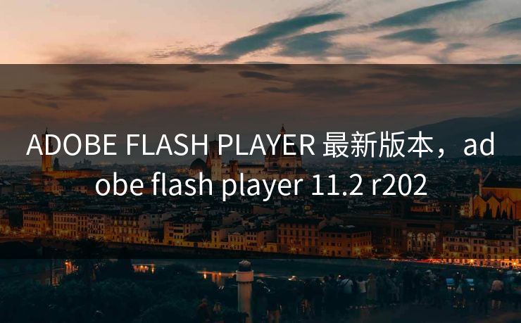 ADOBE FLASH PLAYER 最新版本,adobe flash player 11.2 r202 ADOBE FLASH PLAYER 最新版本,adobe flash player 11.2 r202