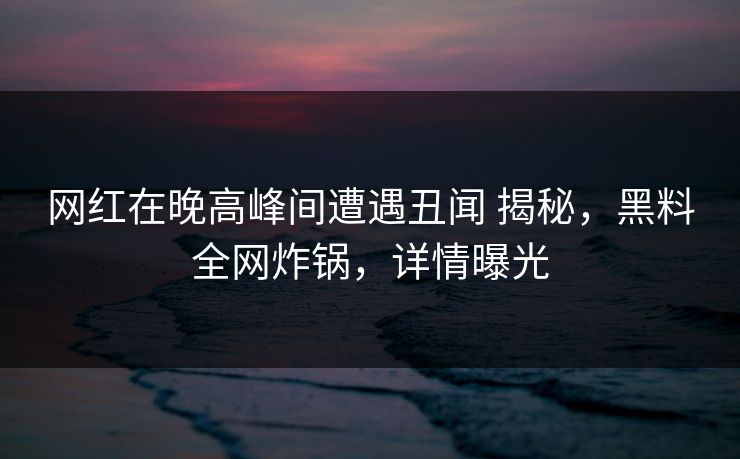 网红在晚高峰间遭遇丑闻 揭秘,黑料全网炸锅,详情曝光