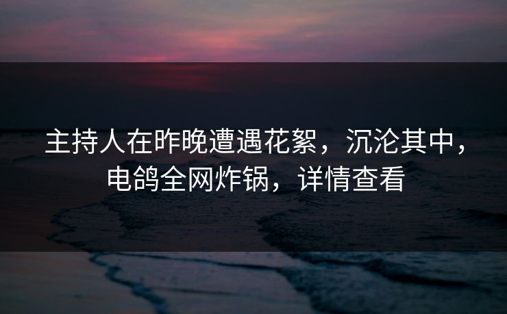 主持人在昨晚遭遇花絮,沉沦其中,电鸽全网炸锅,详情查看 主持人在昨晚遭遇花絮,沉沦其中,电鸽全网炸锅,详情查看