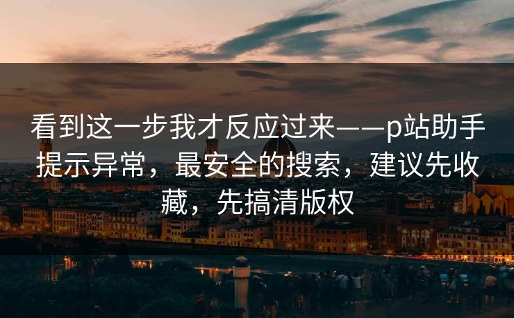 看到这一步我才反应过来——p站助手提示异常，最安全的搜索，建议先收藏，先搞清版权